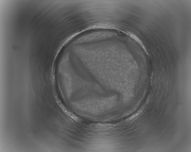 X0000074010981200609181830