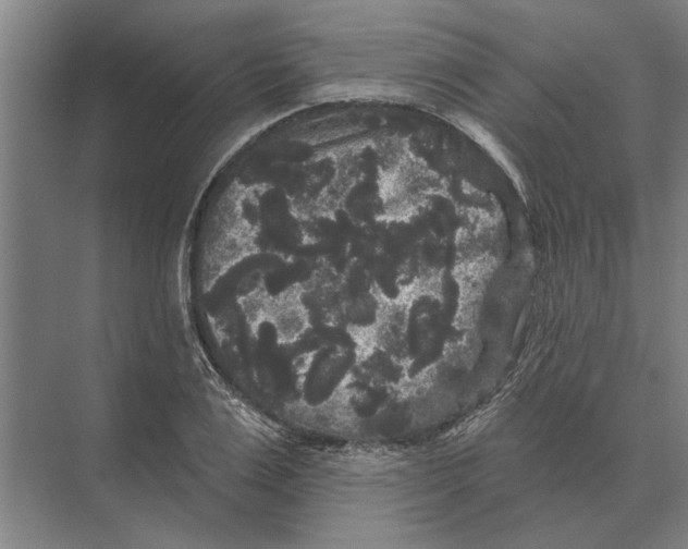 X0000074010983200609181830