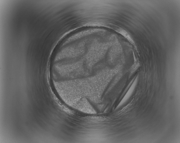 X0000074010984200609181830