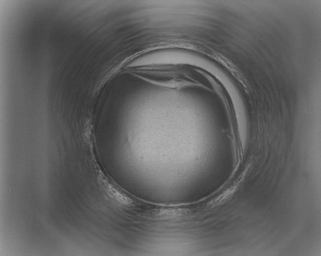 X0000074010985200609181830