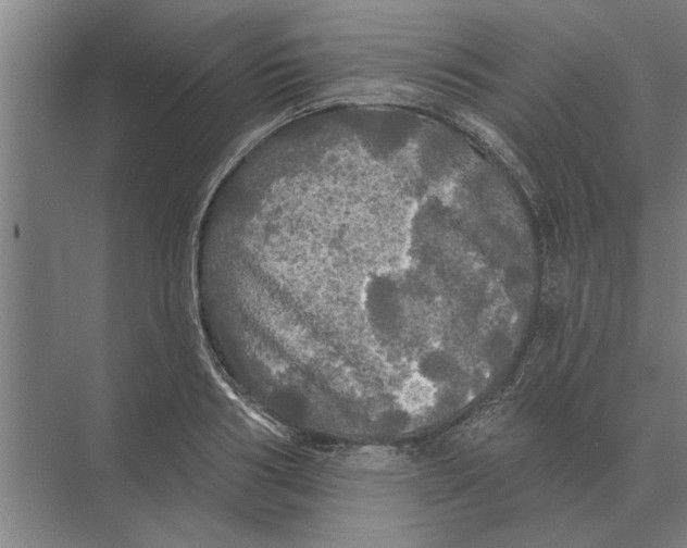 X0000074010986200609181830