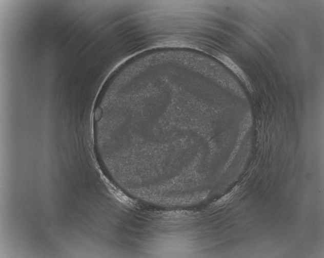 X0000074010988200609181830