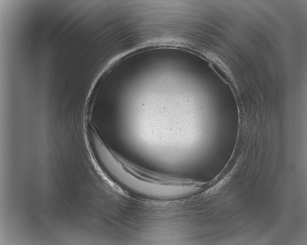 X0000074010989200609181829