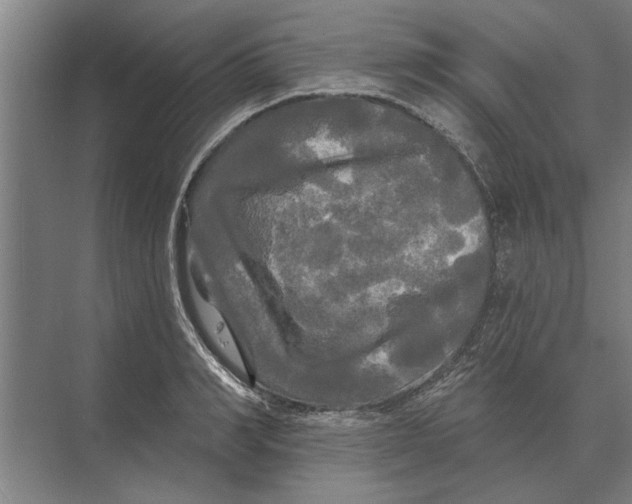 X0000074010990200609181829