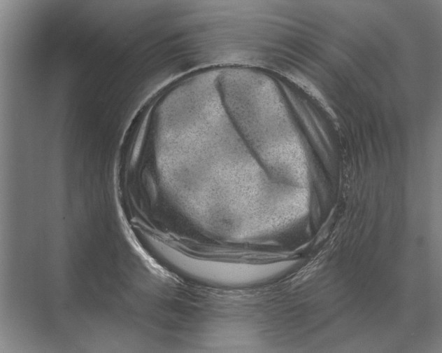 X0000074010991200609181829