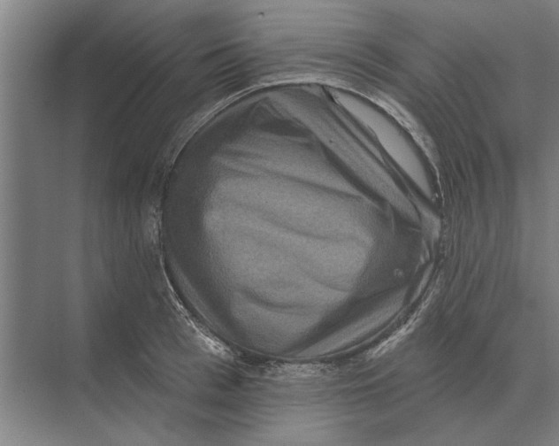 X0000074010993200609181829