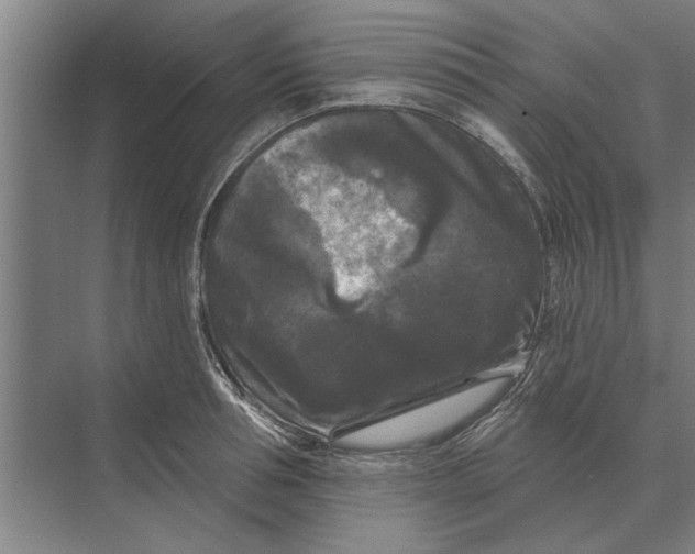 X0000074010994200609181829