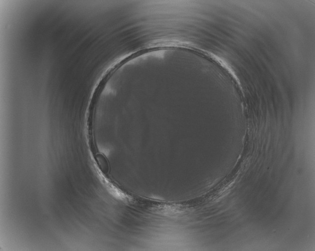 X0000074010995200609181829