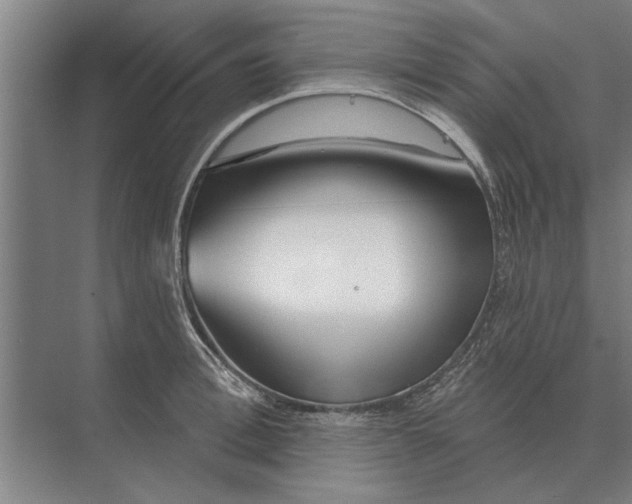 X0000074010996200609181829