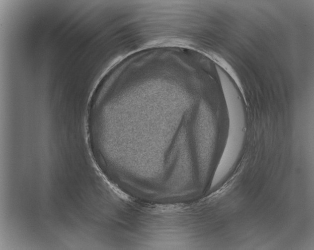 X0000074010997200609181829