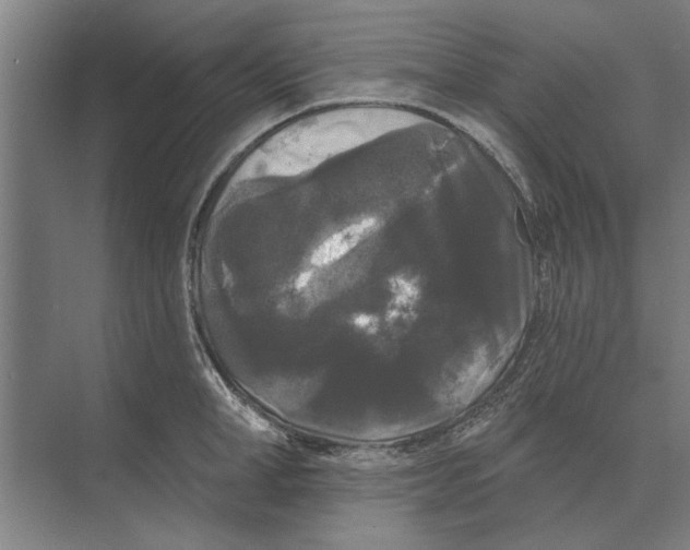 X0000074010998200609181829