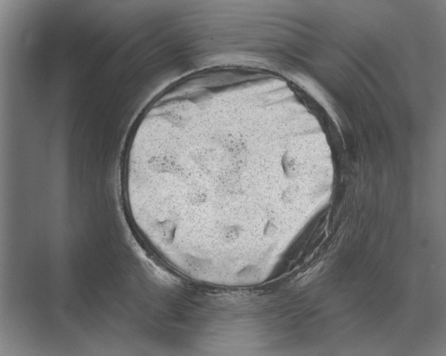 X0000074010999200609181829