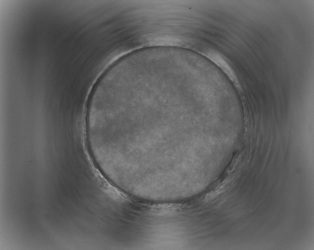 X0000074011000200609181829