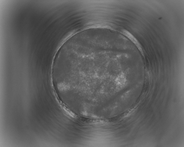 X0000074011002200609181829