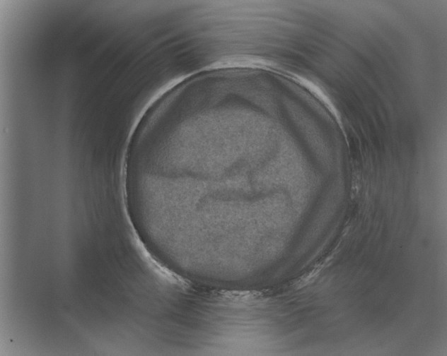 X0000074011003200609181829