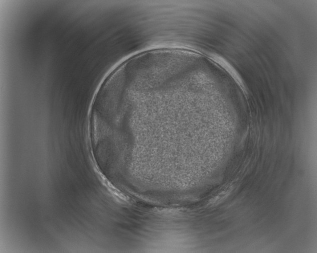 X0000074011004200609181829