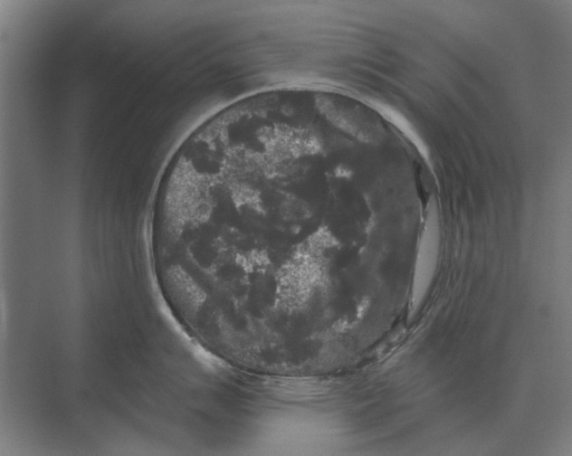 X0000074011007200609181829