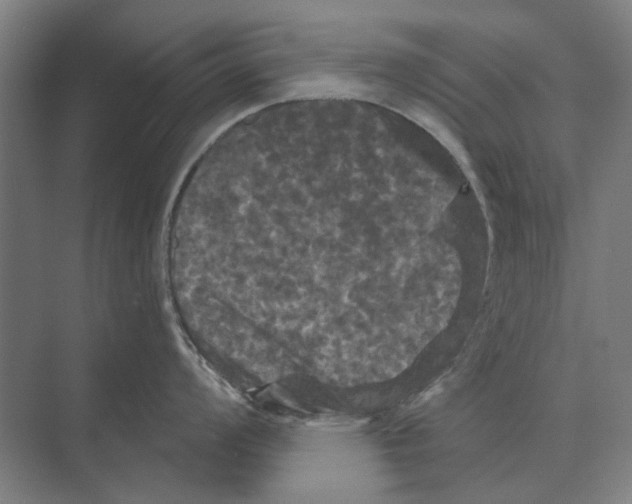 X0000074011008200609181829