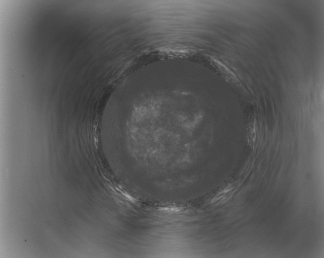 X0000074011010200609181828