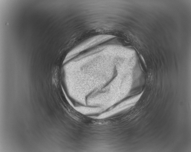 X0000074011012200609181828