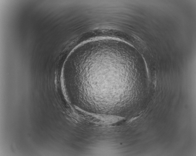 X0000074011014200609181828