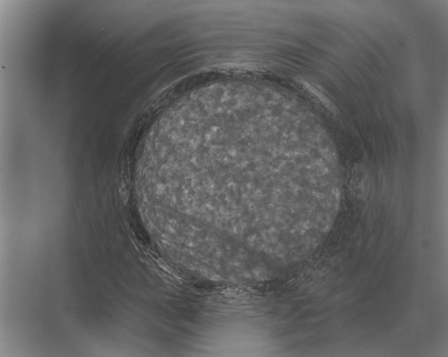 X0000074011015200609181828