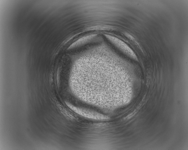 X0000074011017200609181828