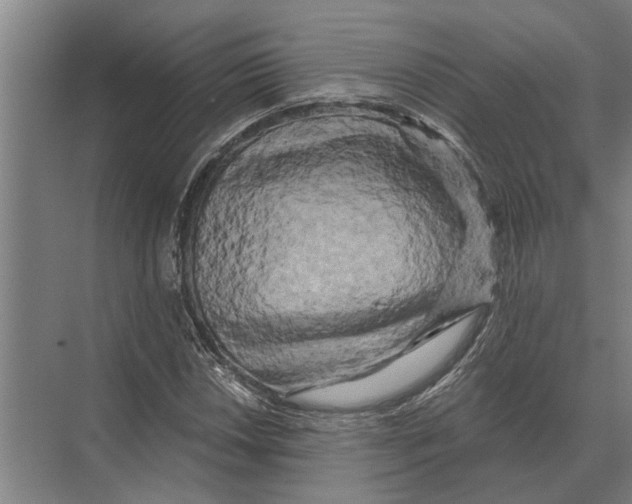 X0000074011018200609181829