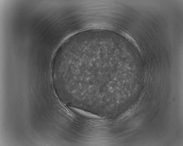 X0000074011019200609181829