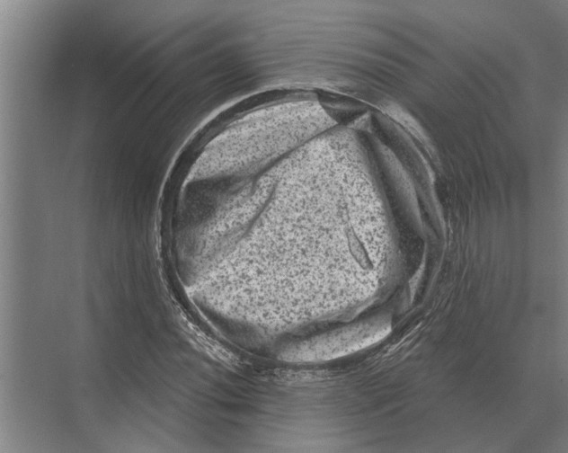 X0000074011020200609181829