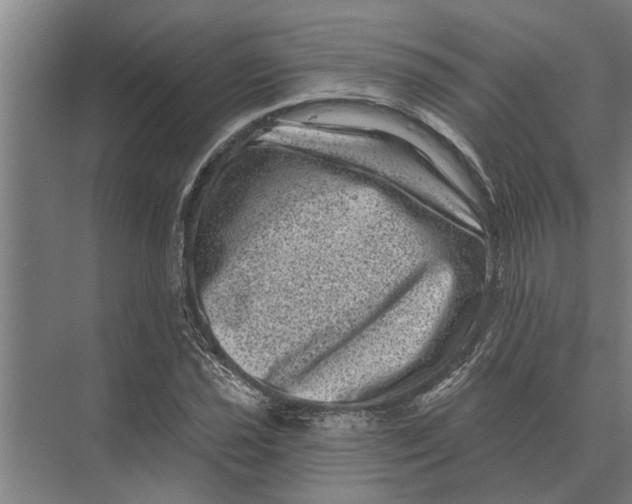 X0000074011021200609181829