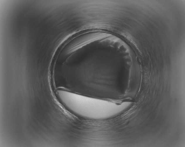 X0000074011024200609181829