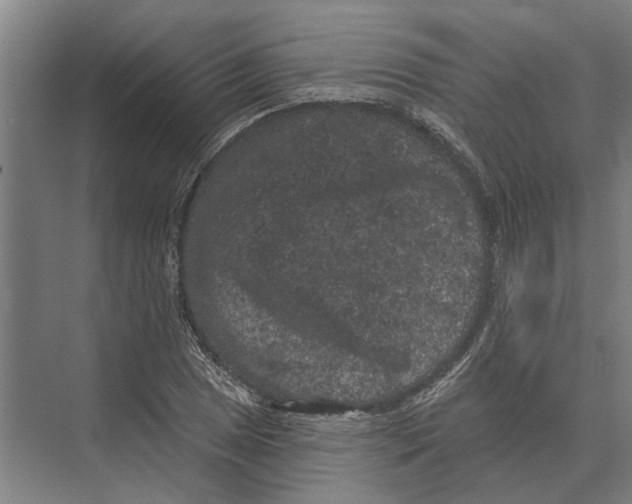 X0000074011025200609181829