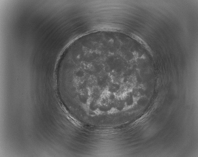 X0000074011027200609181829