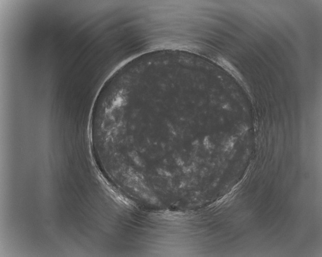 X0000074011028200609181829