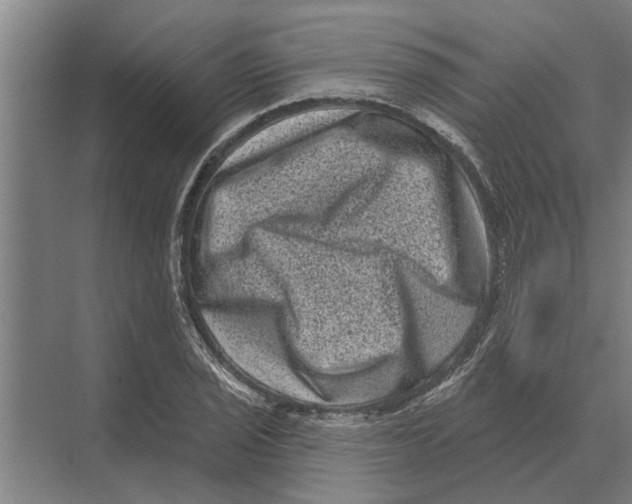 X0000074011029200609181829