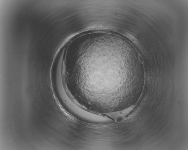 X0000074011030200609181829