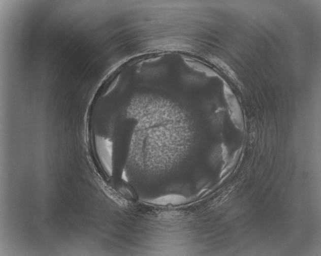 X0000074011031200609181829