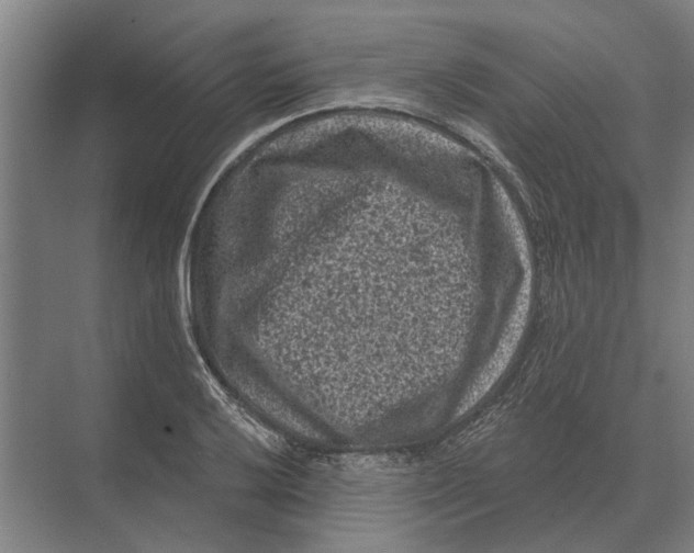 X0000074011032200609181829