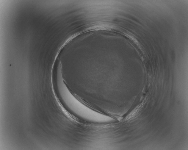 X0000074011034200609181829