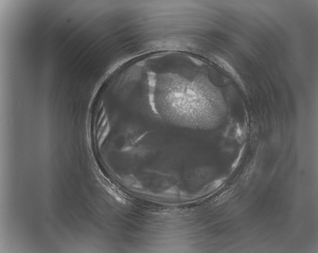 X0000074011035200609181829