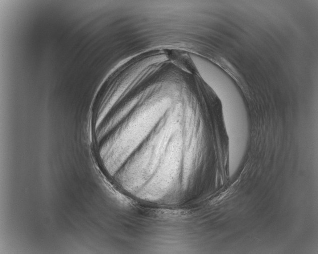 X0000074011036200609181829