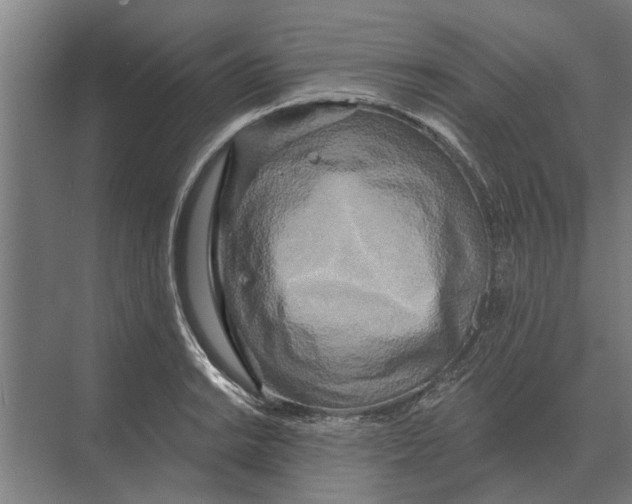 X0000074011038200609181829