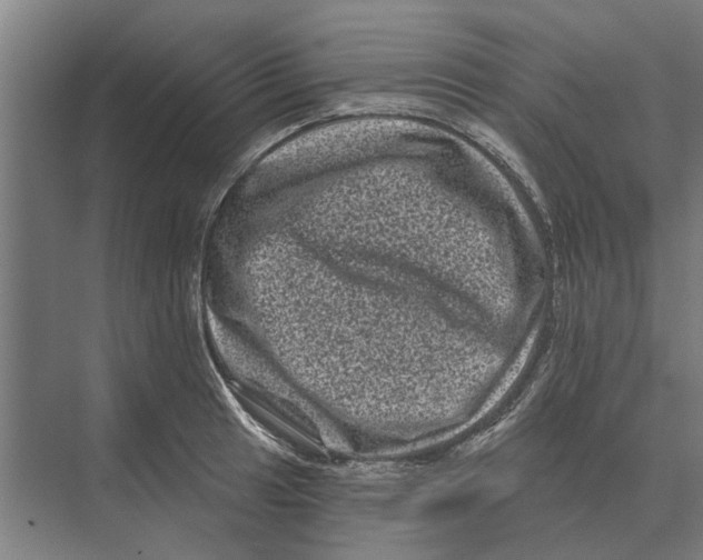 X0000074011041200609181829