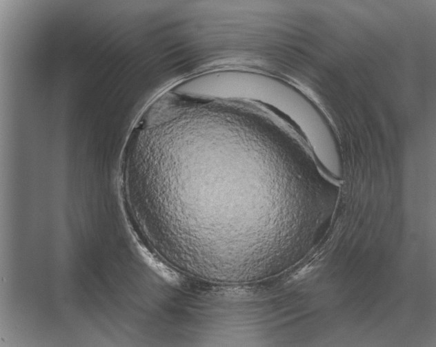 X0000074011042200609181829