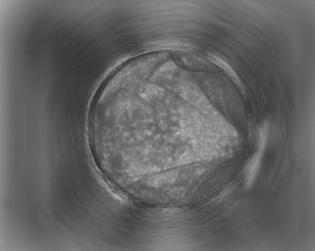 X0000074011043200609181829