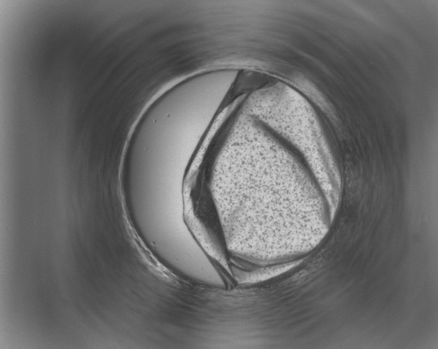 X0000074011044200609181829