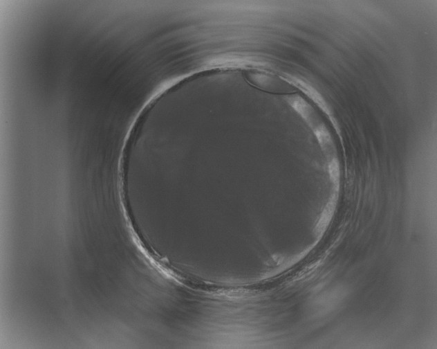 X0000074011045200609181829