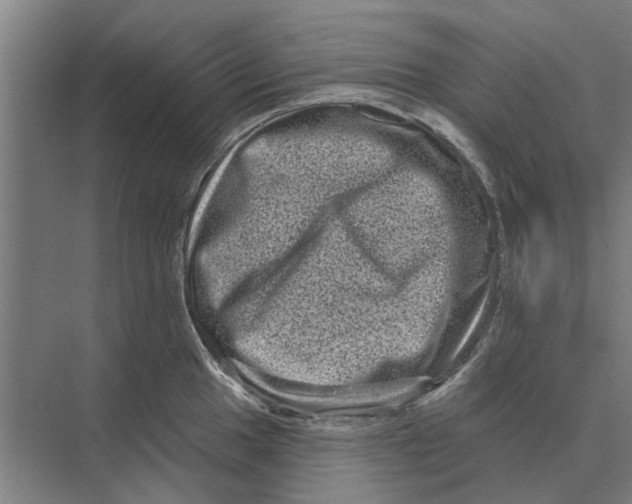 X0000074011049200609181829