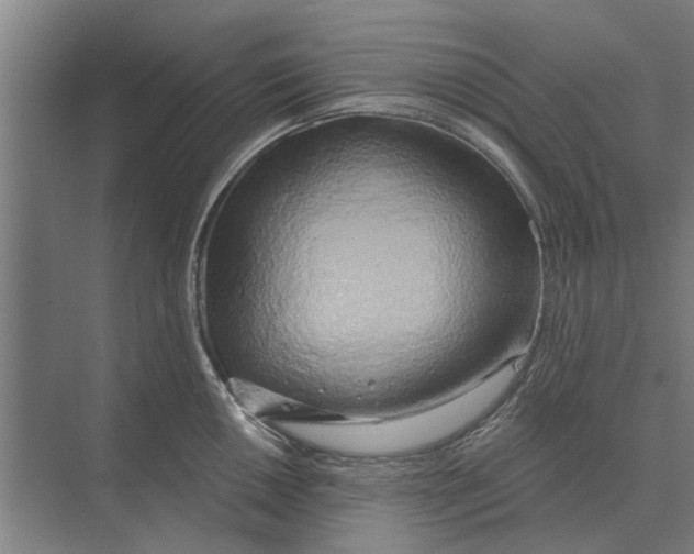 X0000074011050200609181829